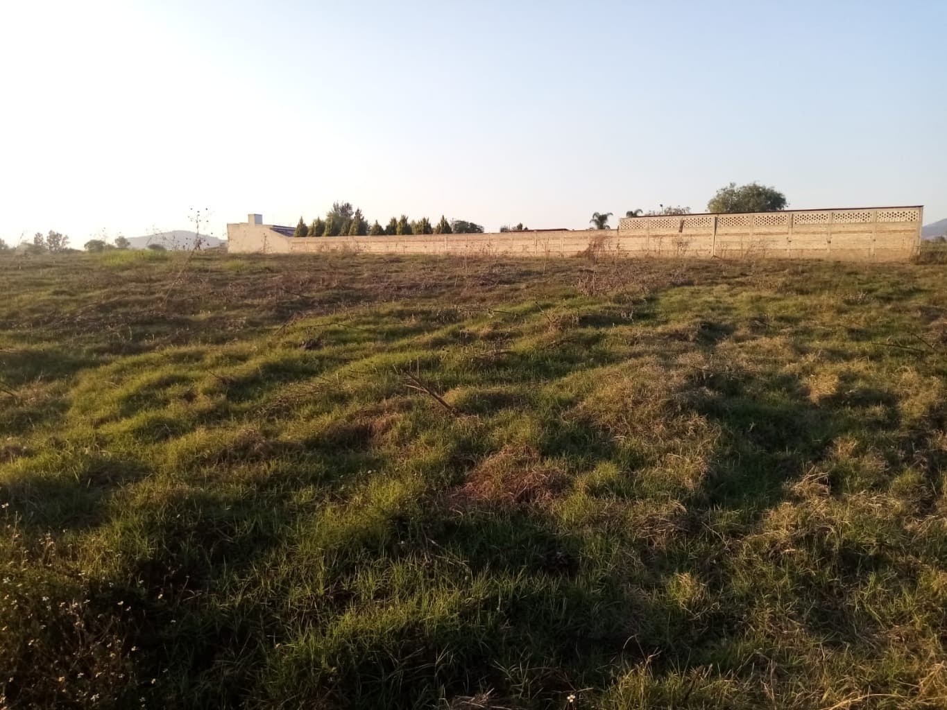 image-0