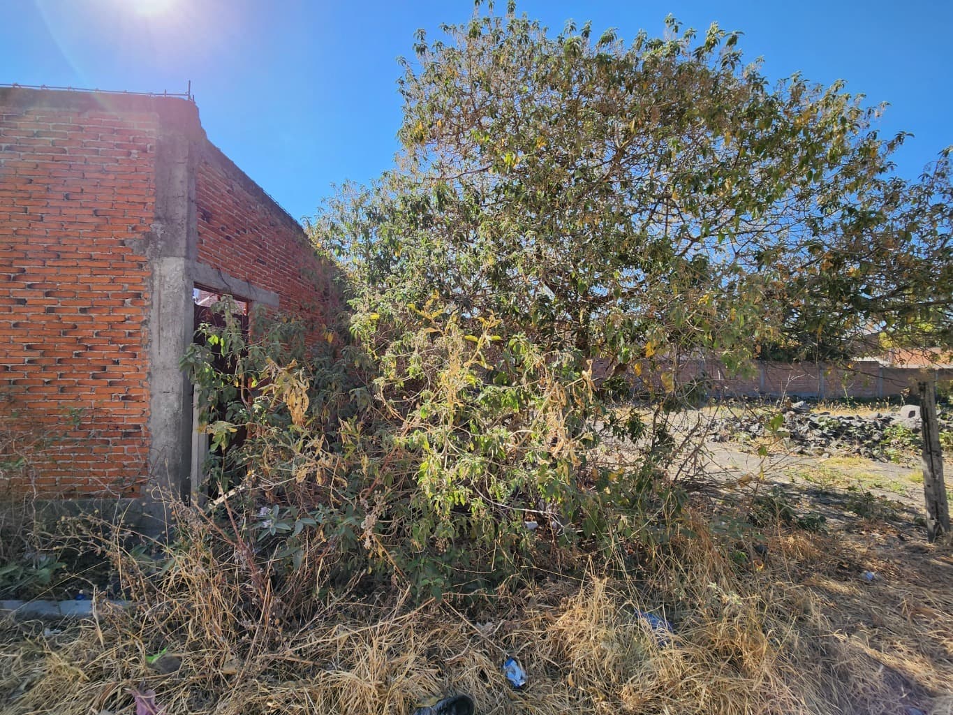 image-3