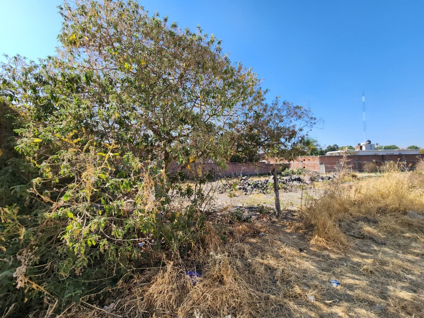 image-4