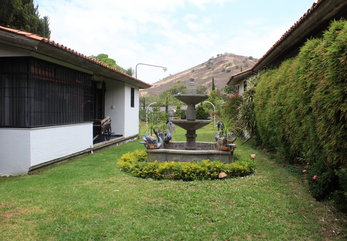 image-27