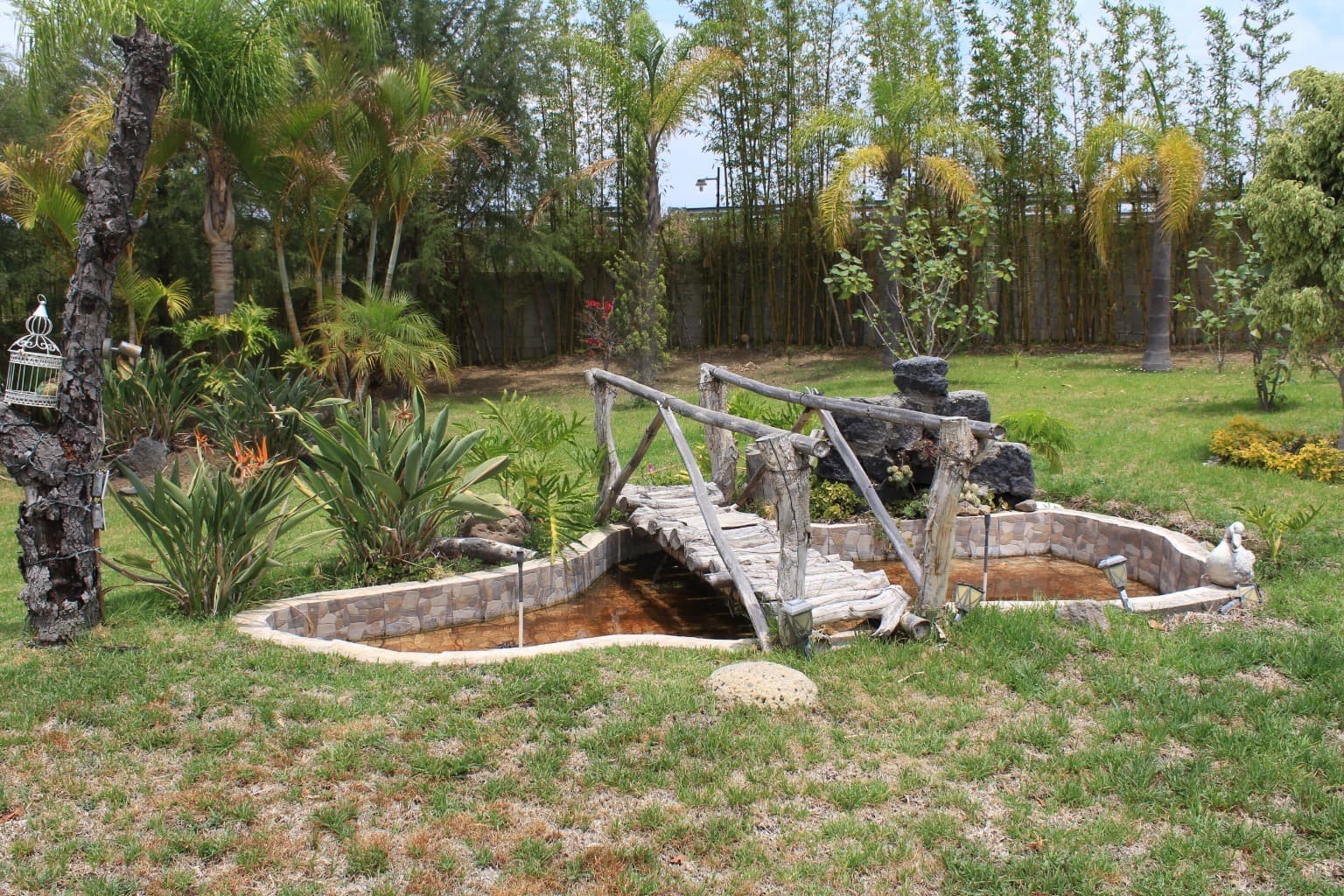 image-29