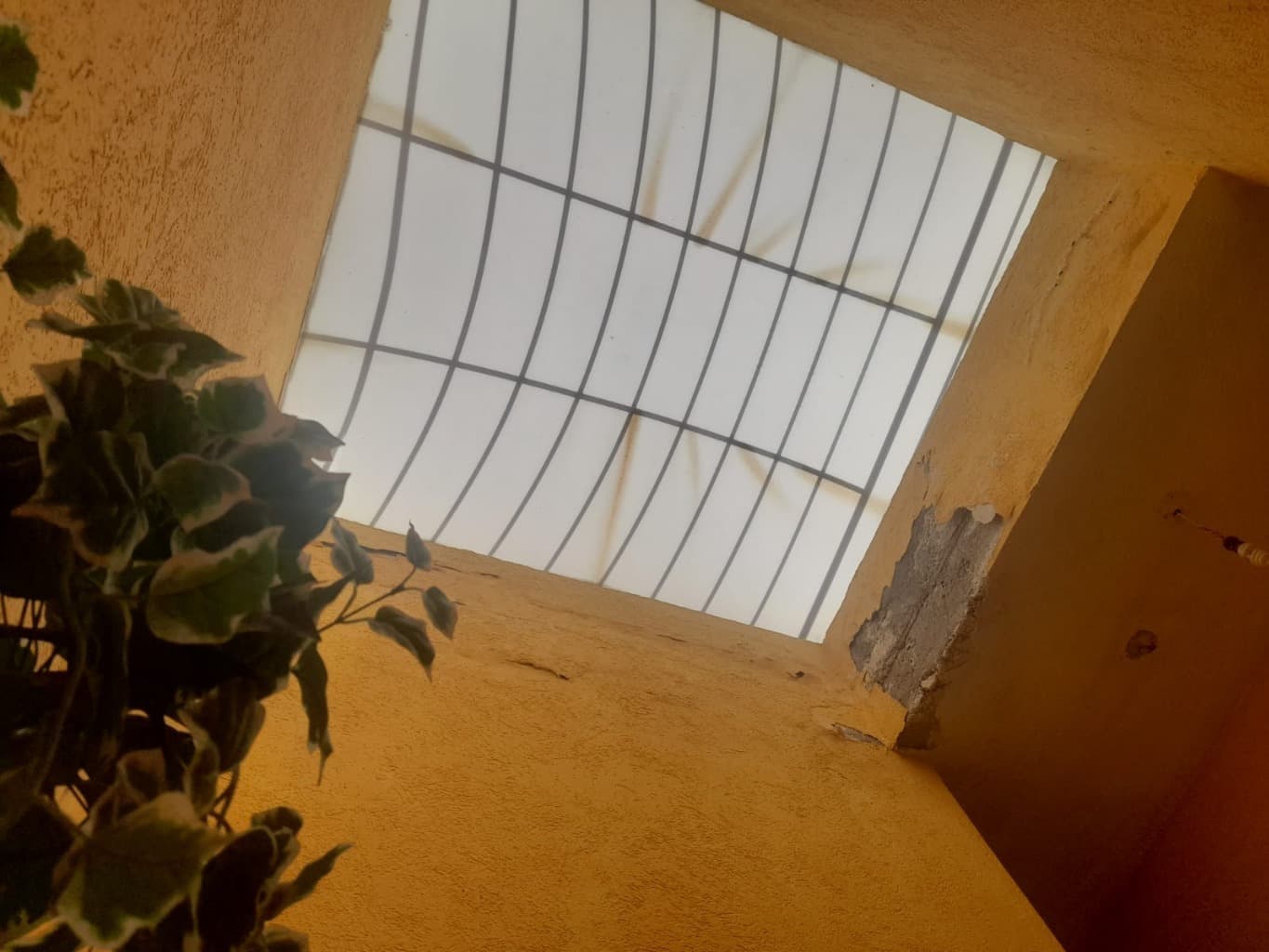 image-5