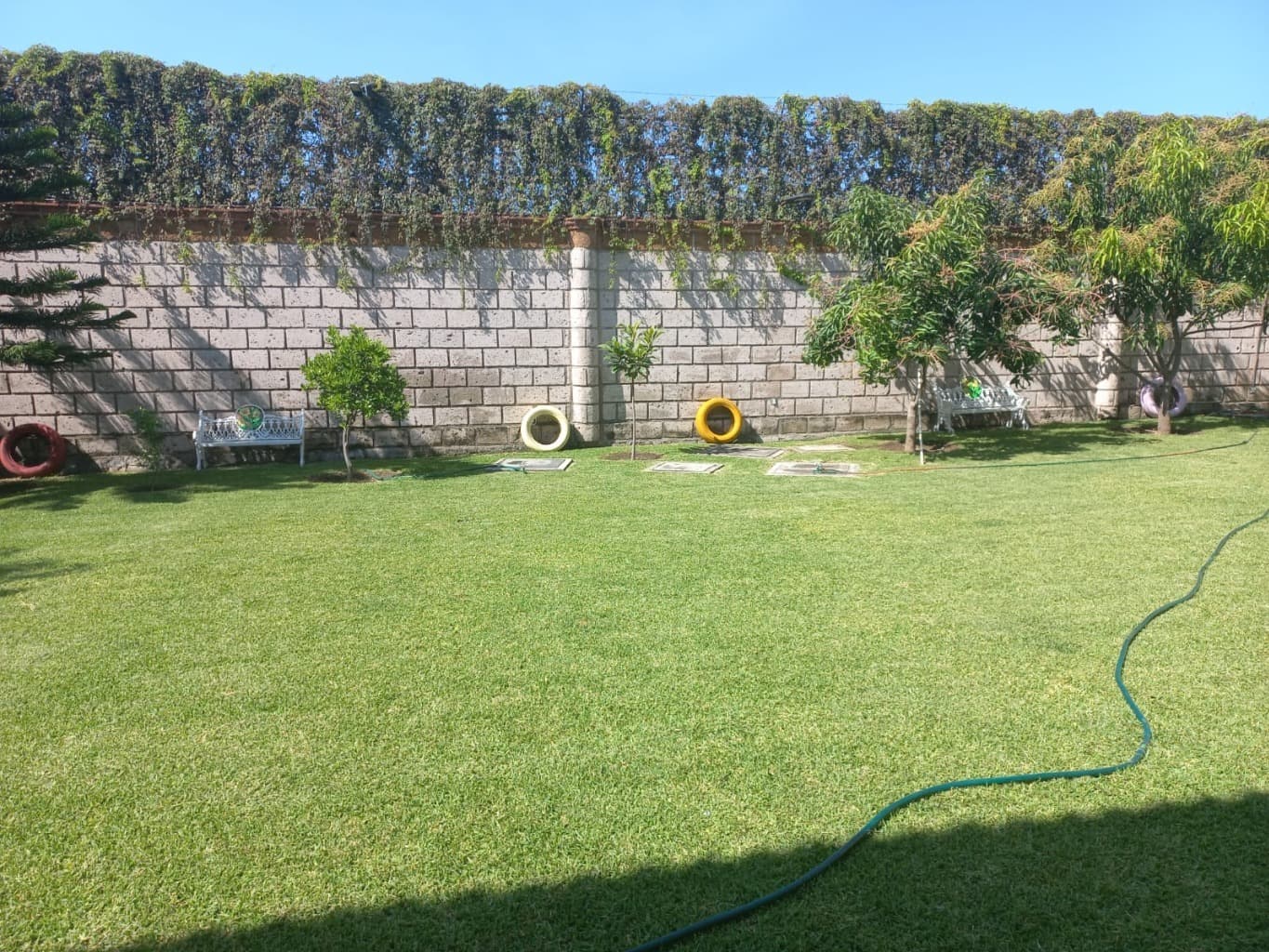 image-5
