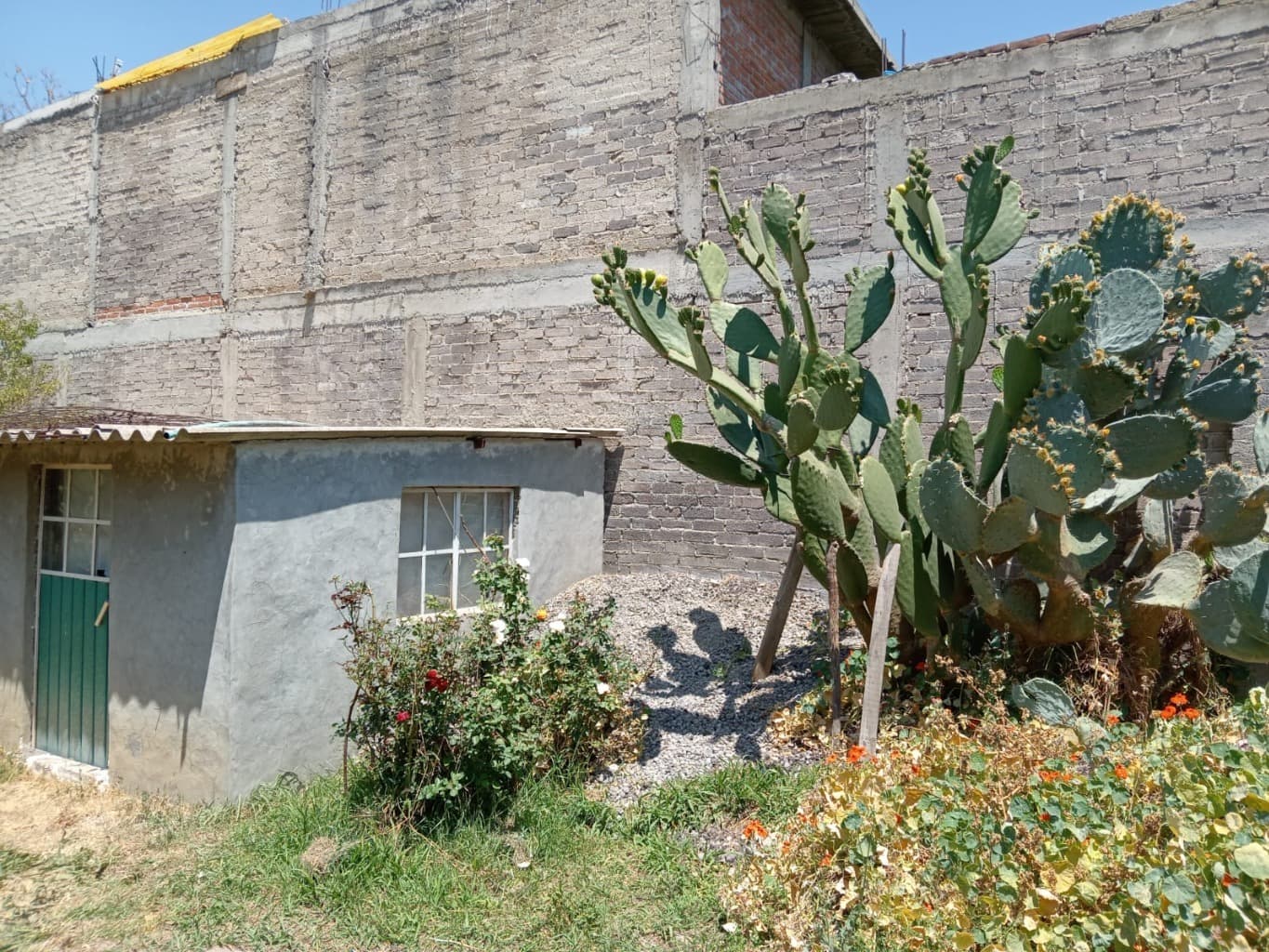 image-3