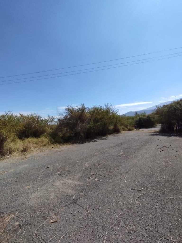 image-6