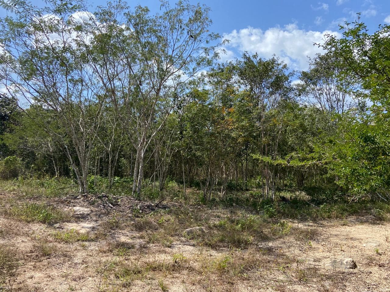 image-14