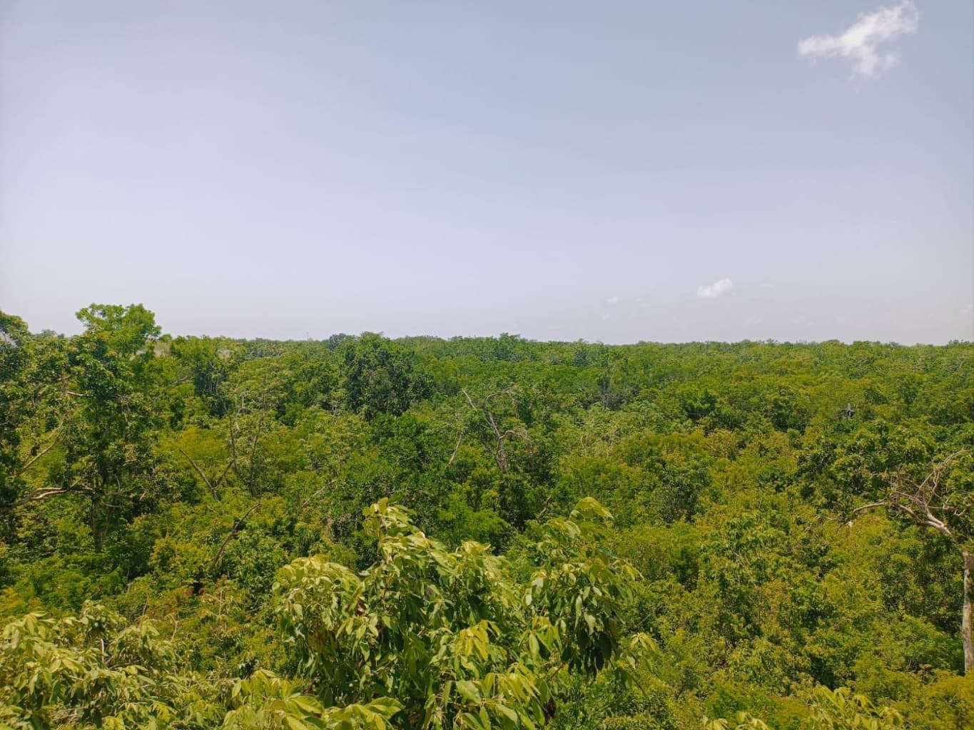 image-19