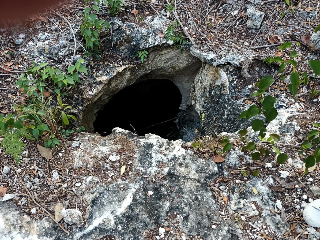 image-6