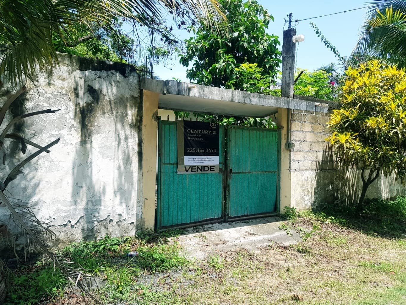 image-0