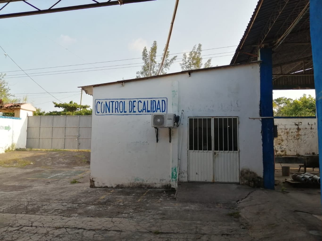 image-7