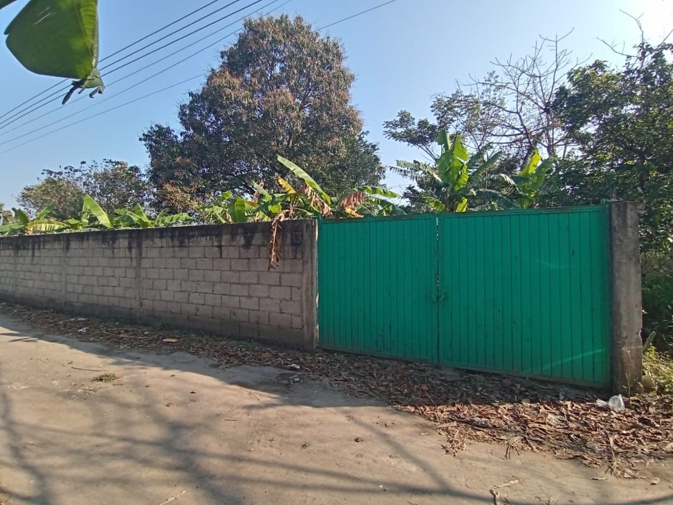 image-2
