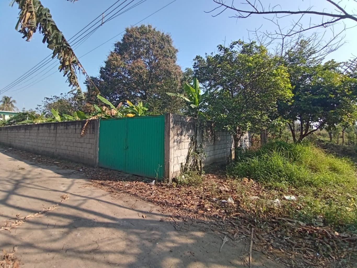 image-4