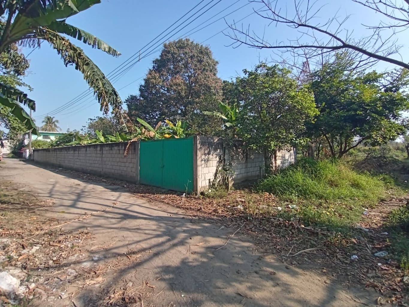 image-6
