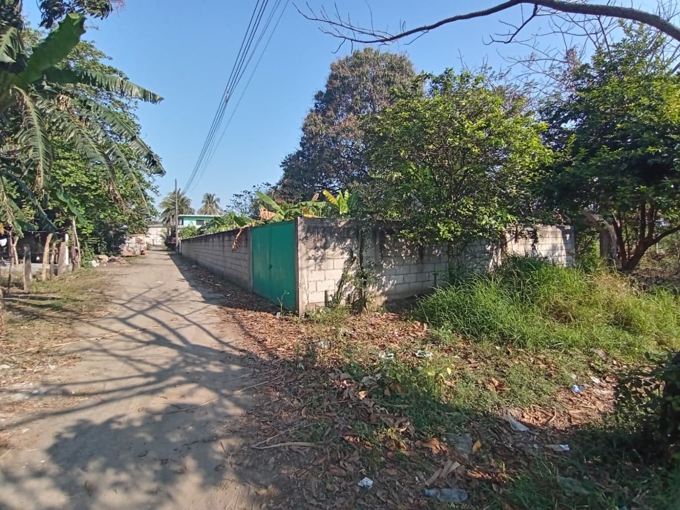 image-8