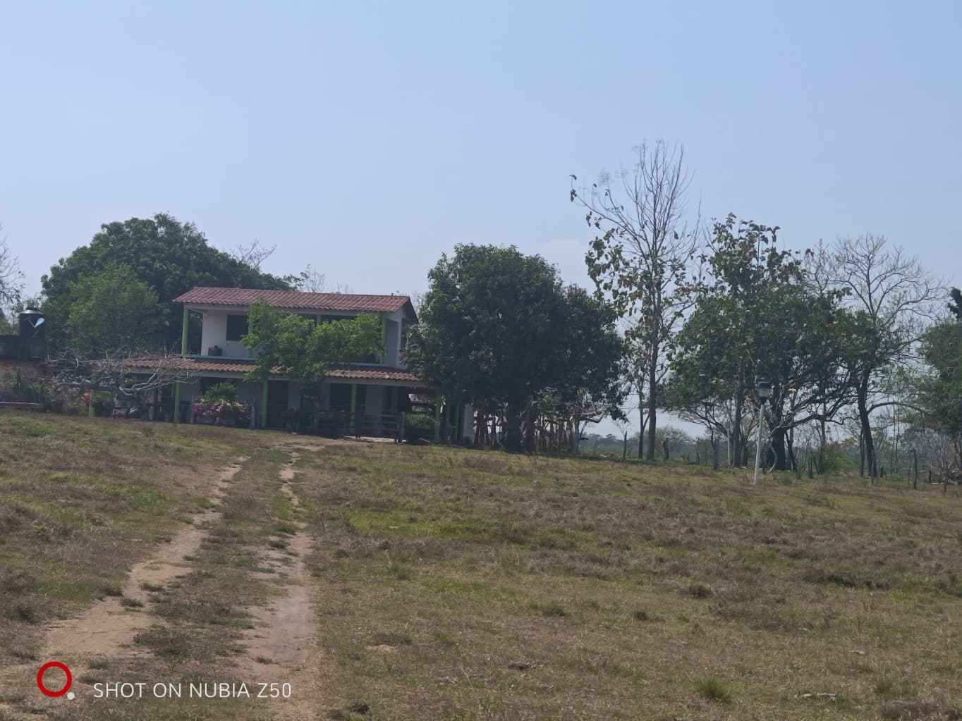 image-11