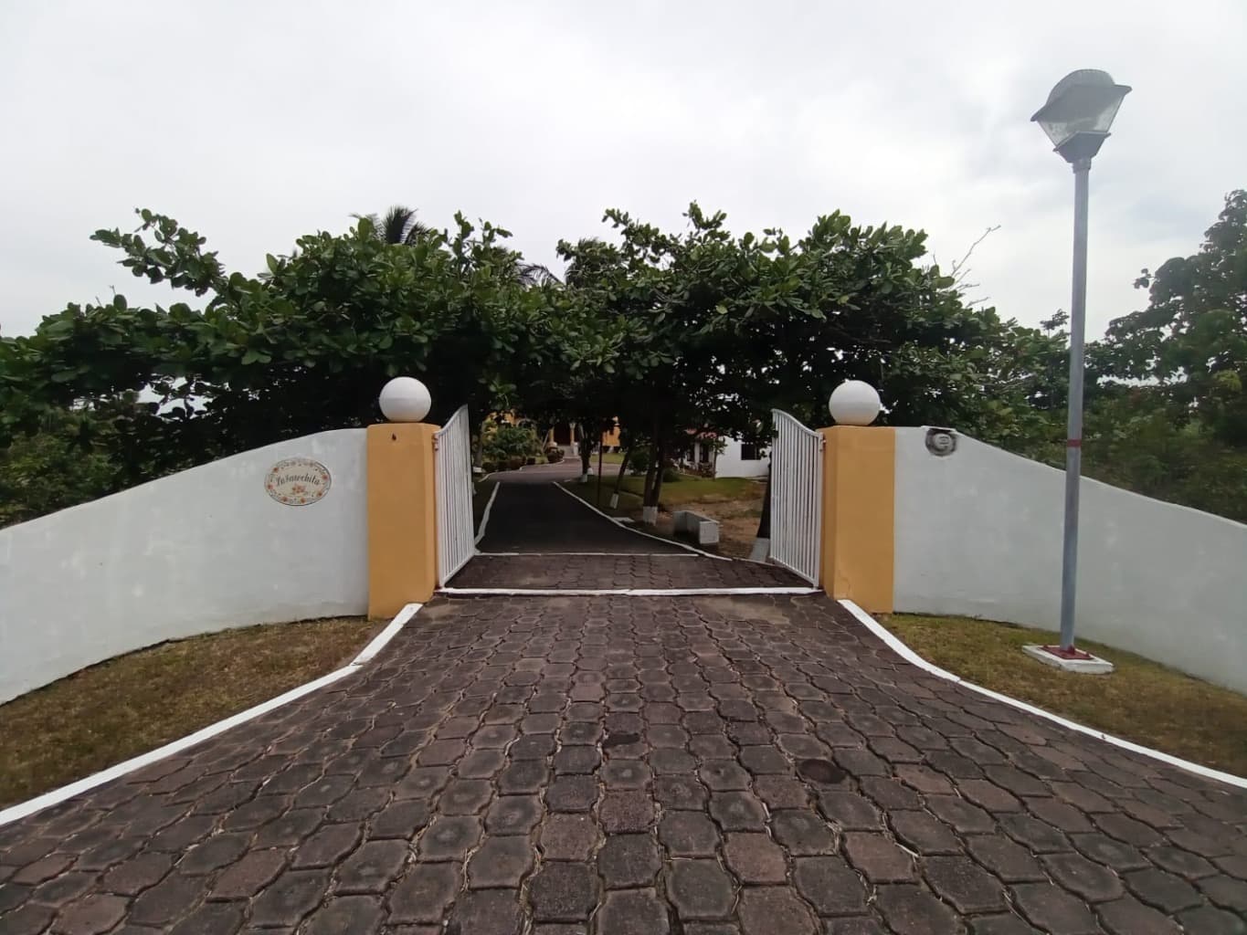 image-0