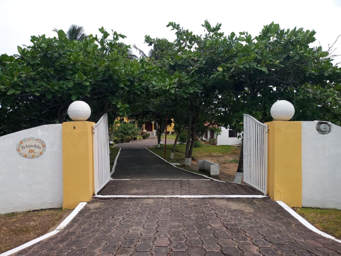 image-1