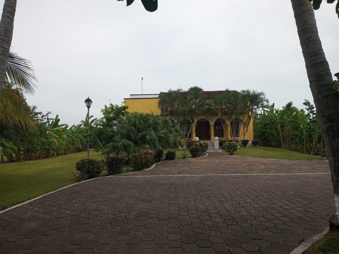 image-4