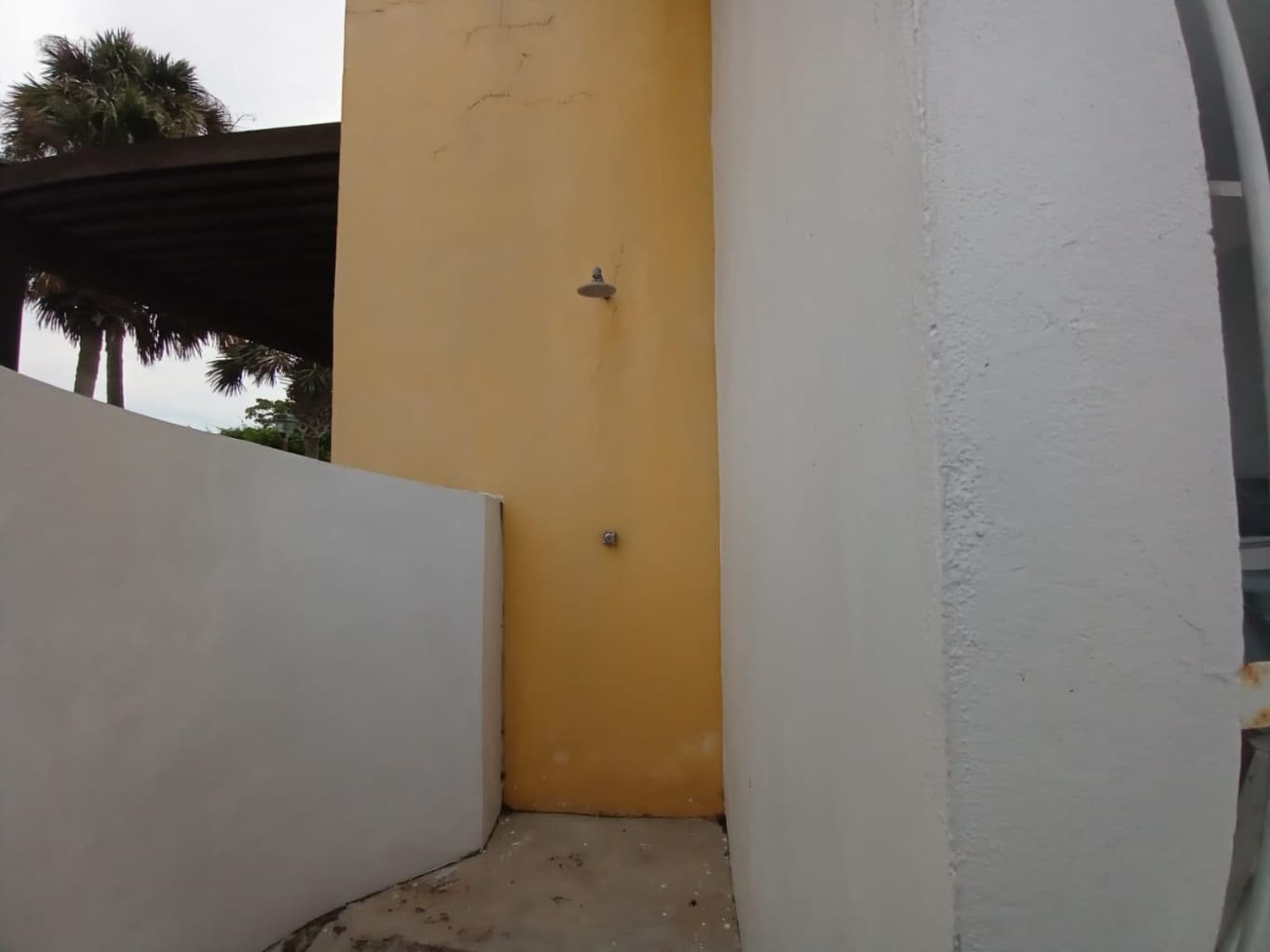 image-21