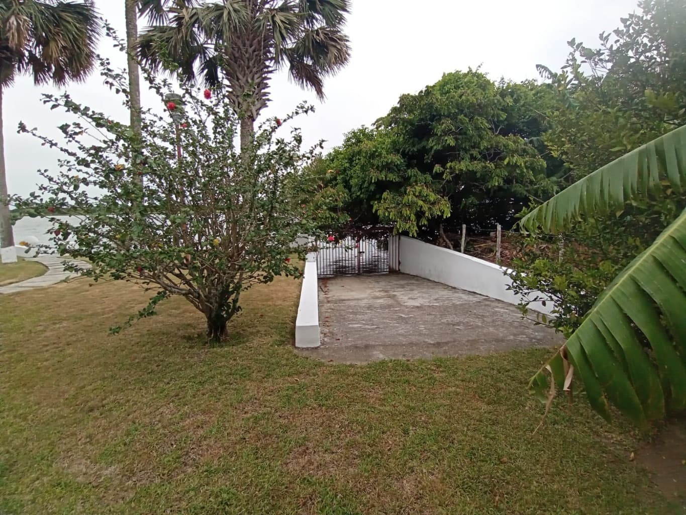 image-26