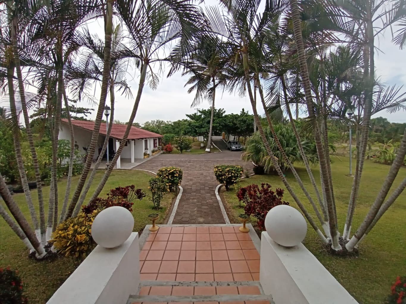 image-27