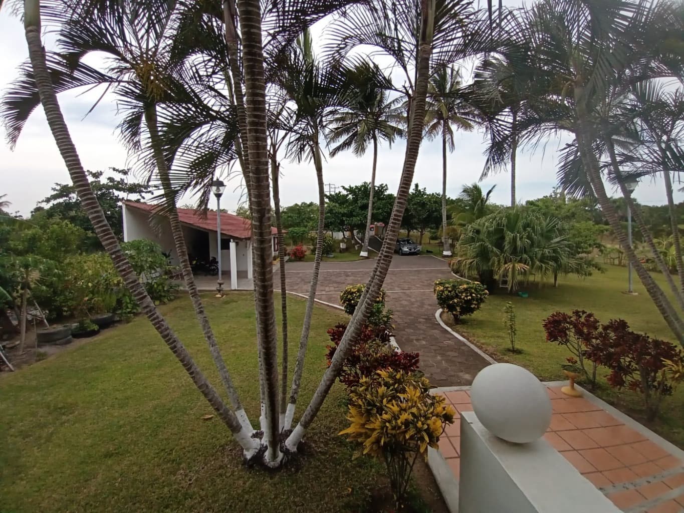 image-29
