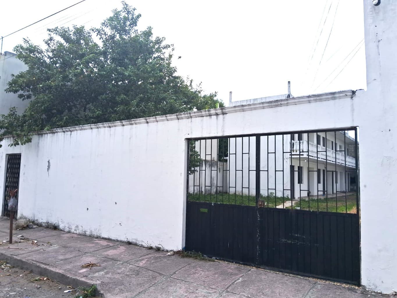 image-0
