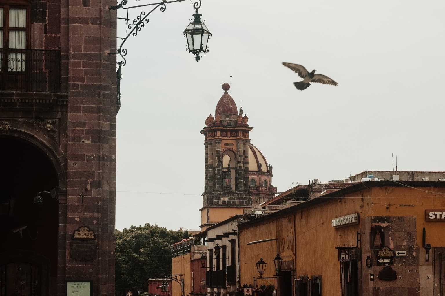 image-6