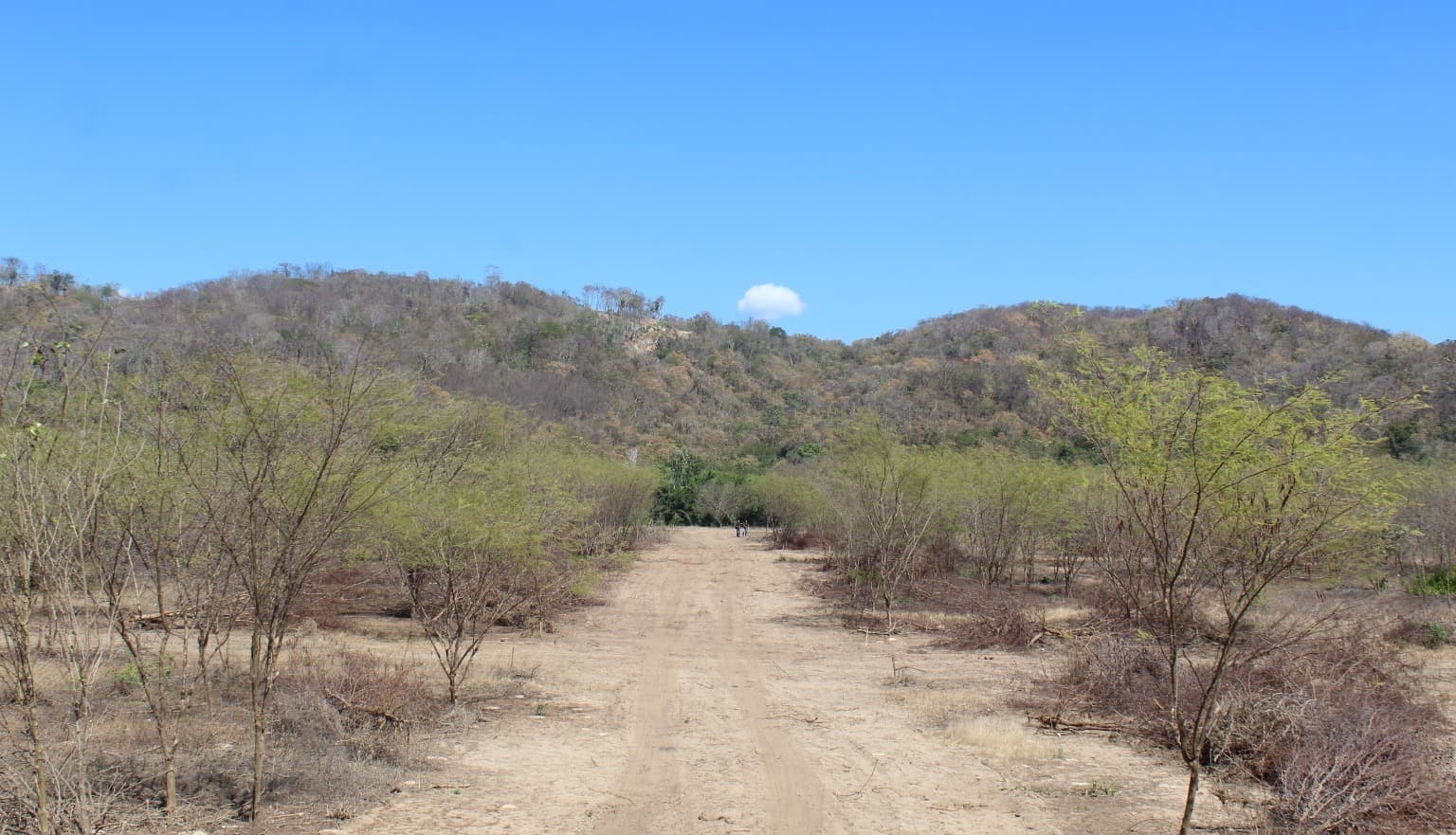 image-16