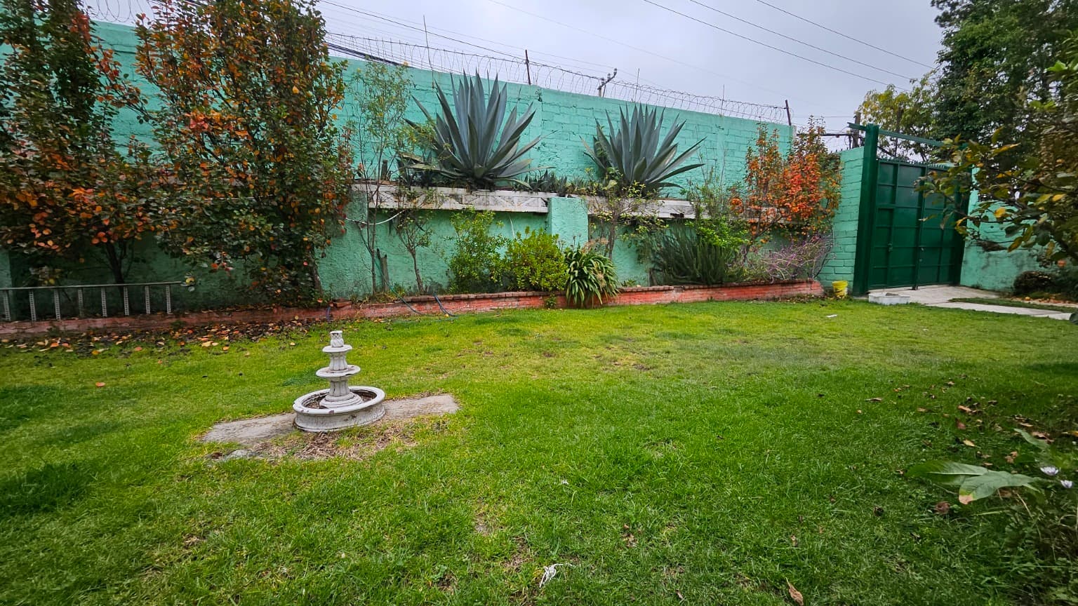 image-5
