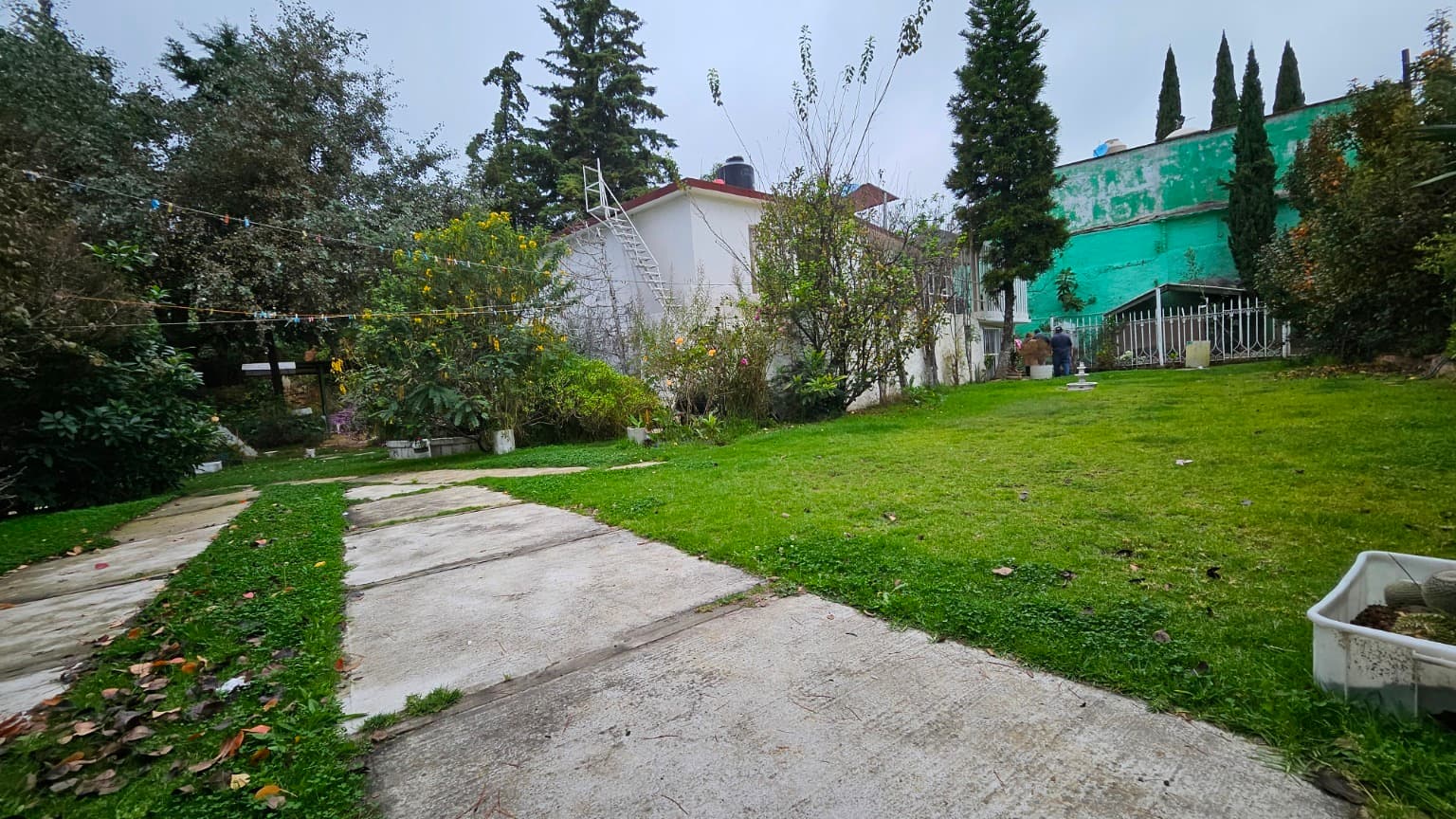 image-8