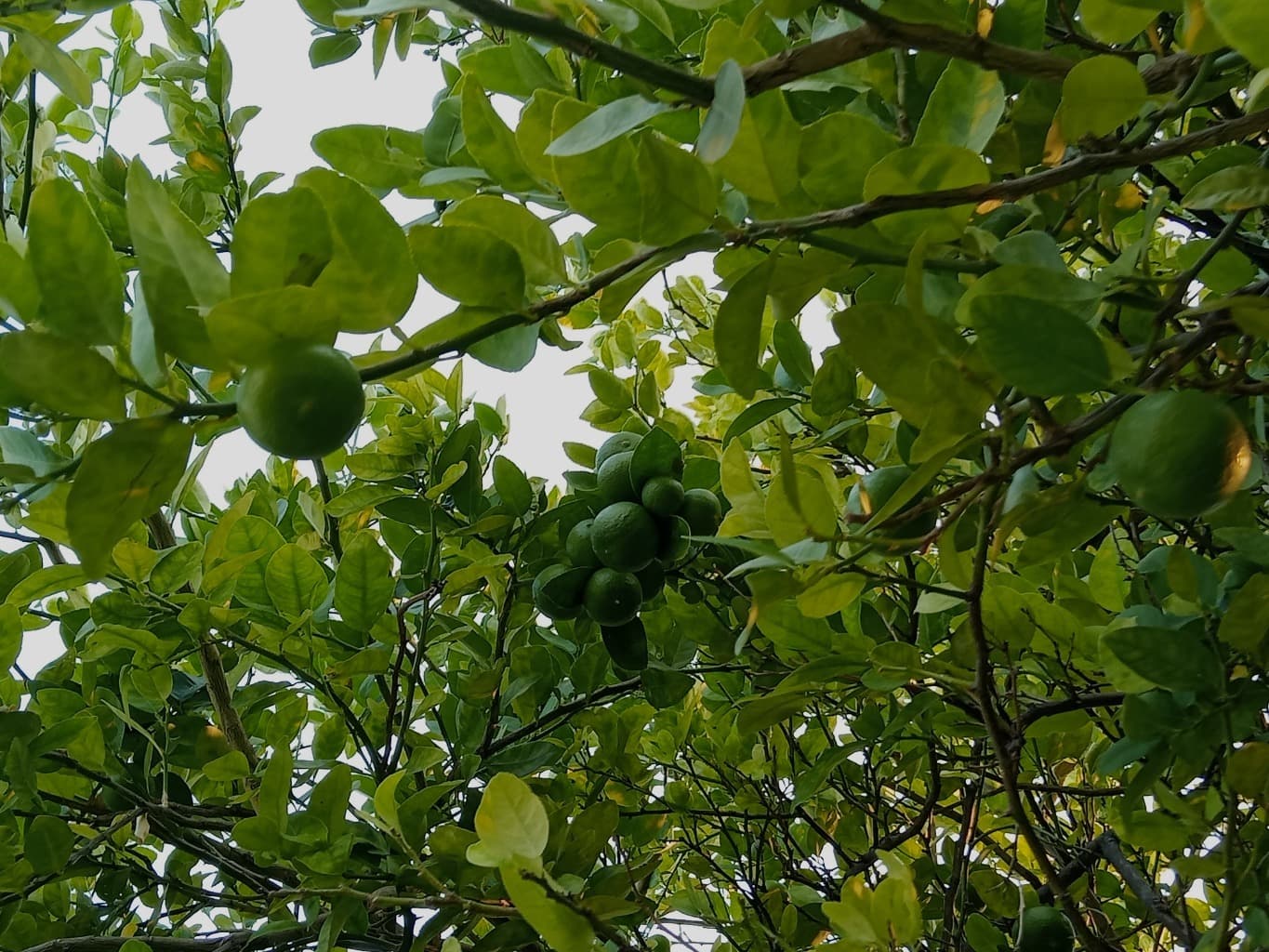 image-9