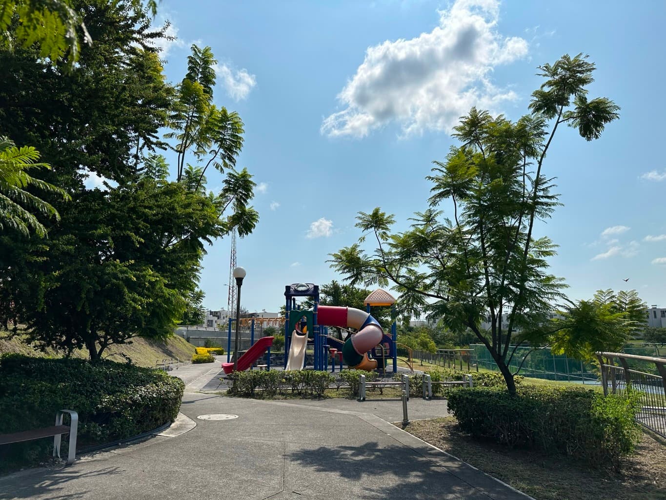 image-28