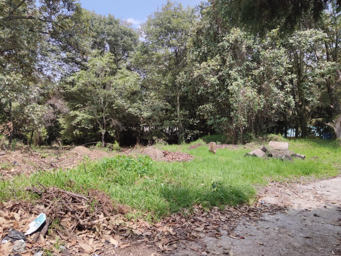 image-12