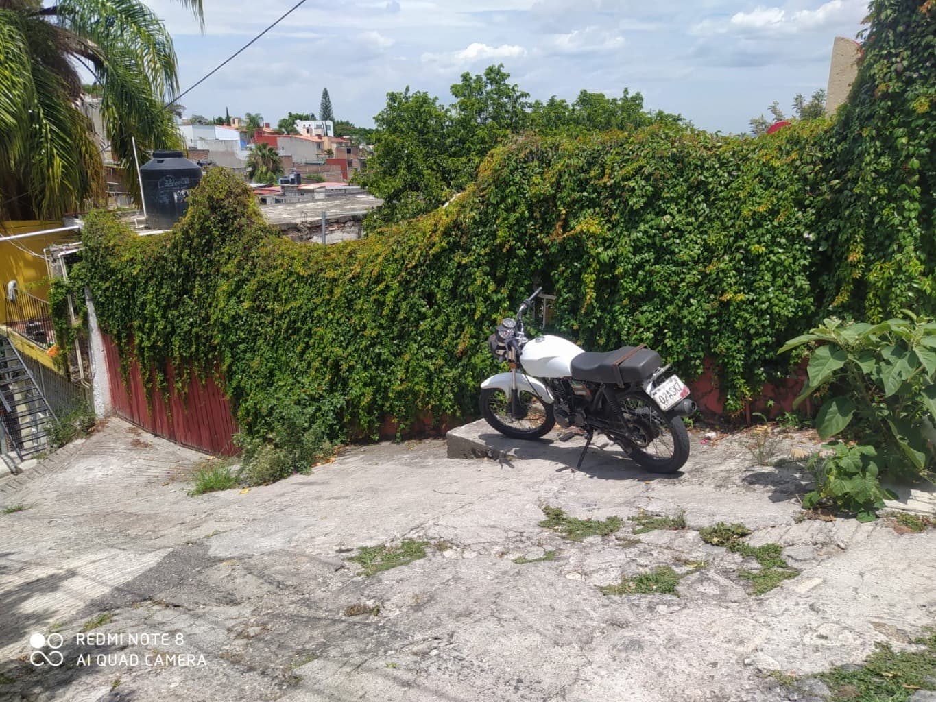 image-7