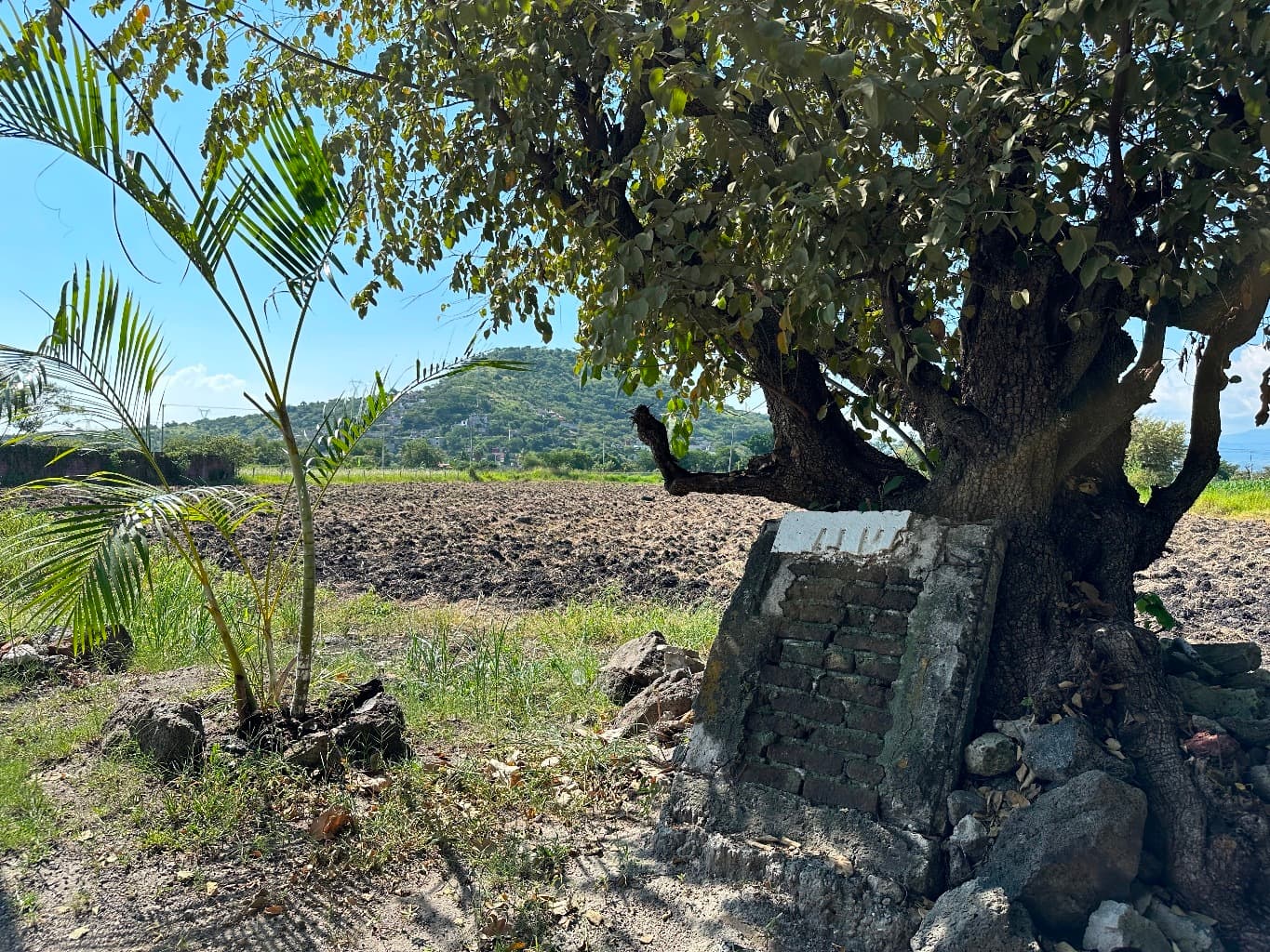 image-4