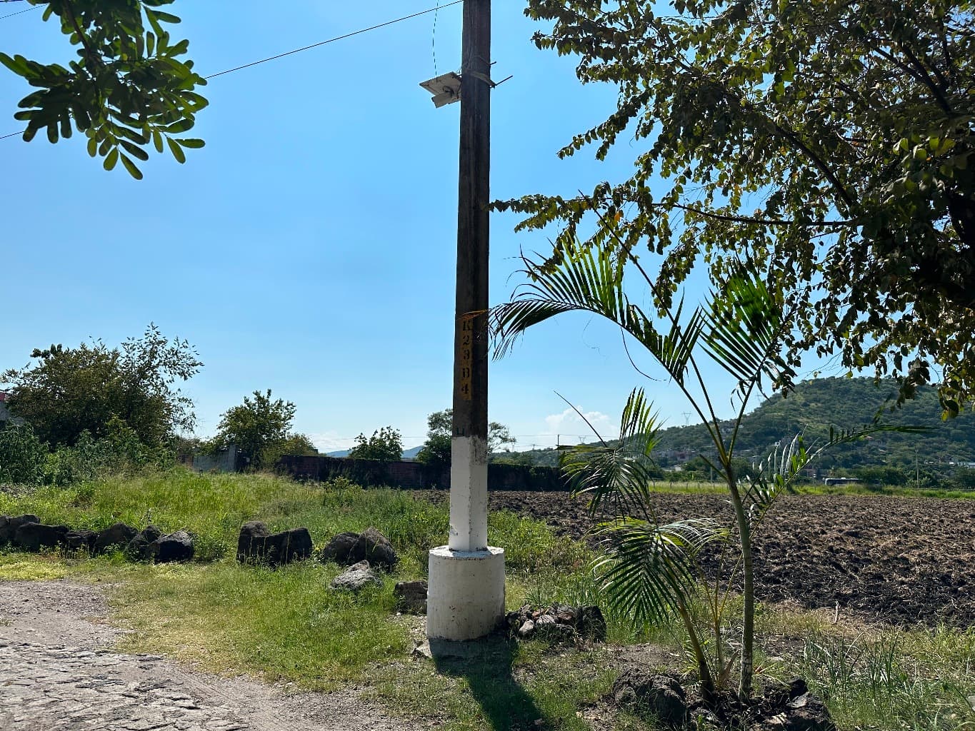 image-5
