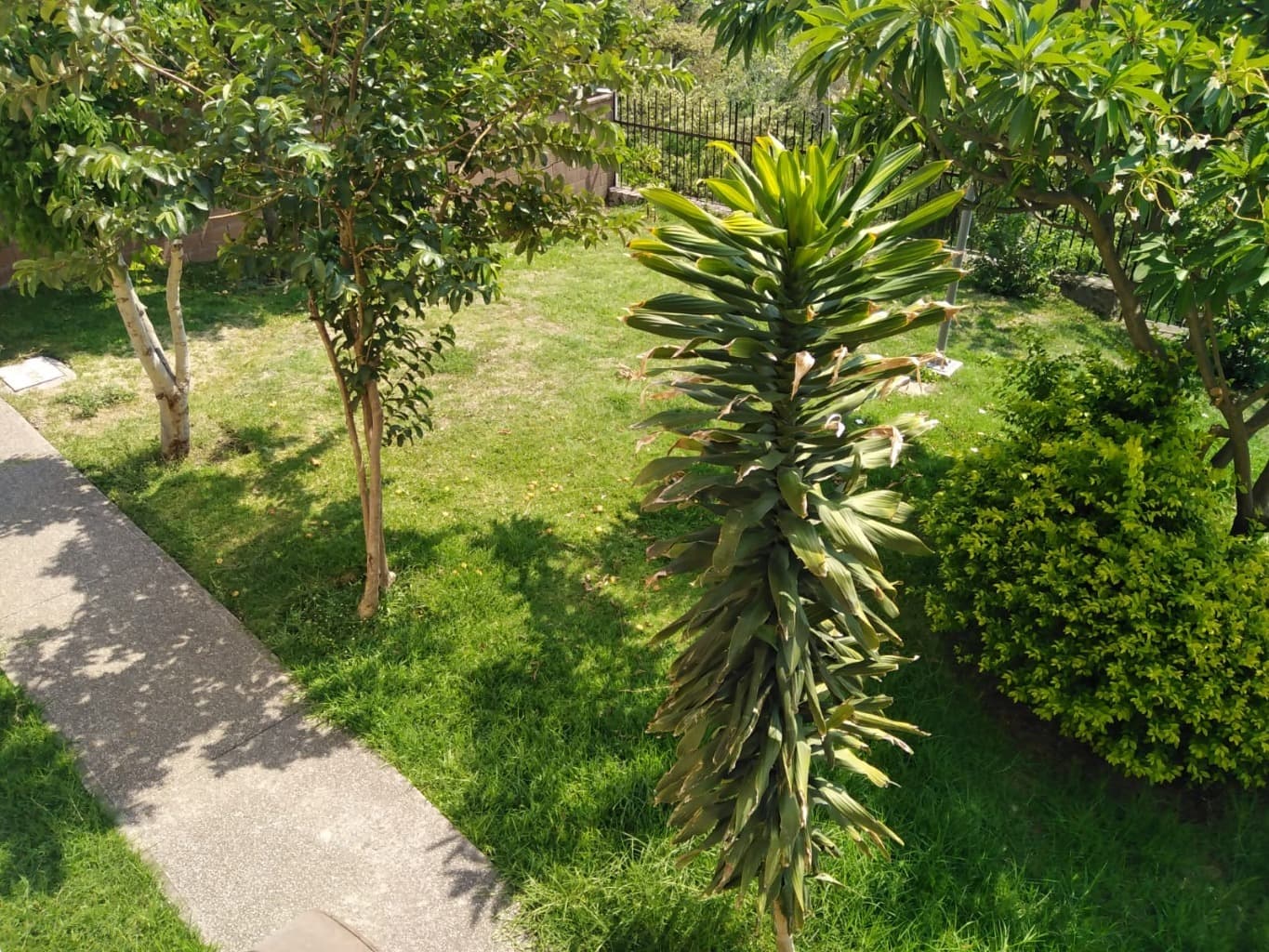 image-3