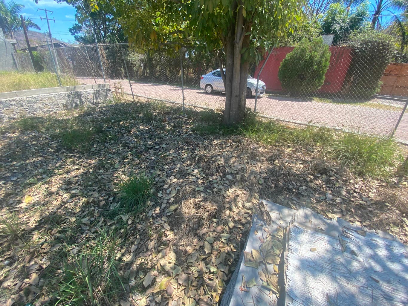 image-0
