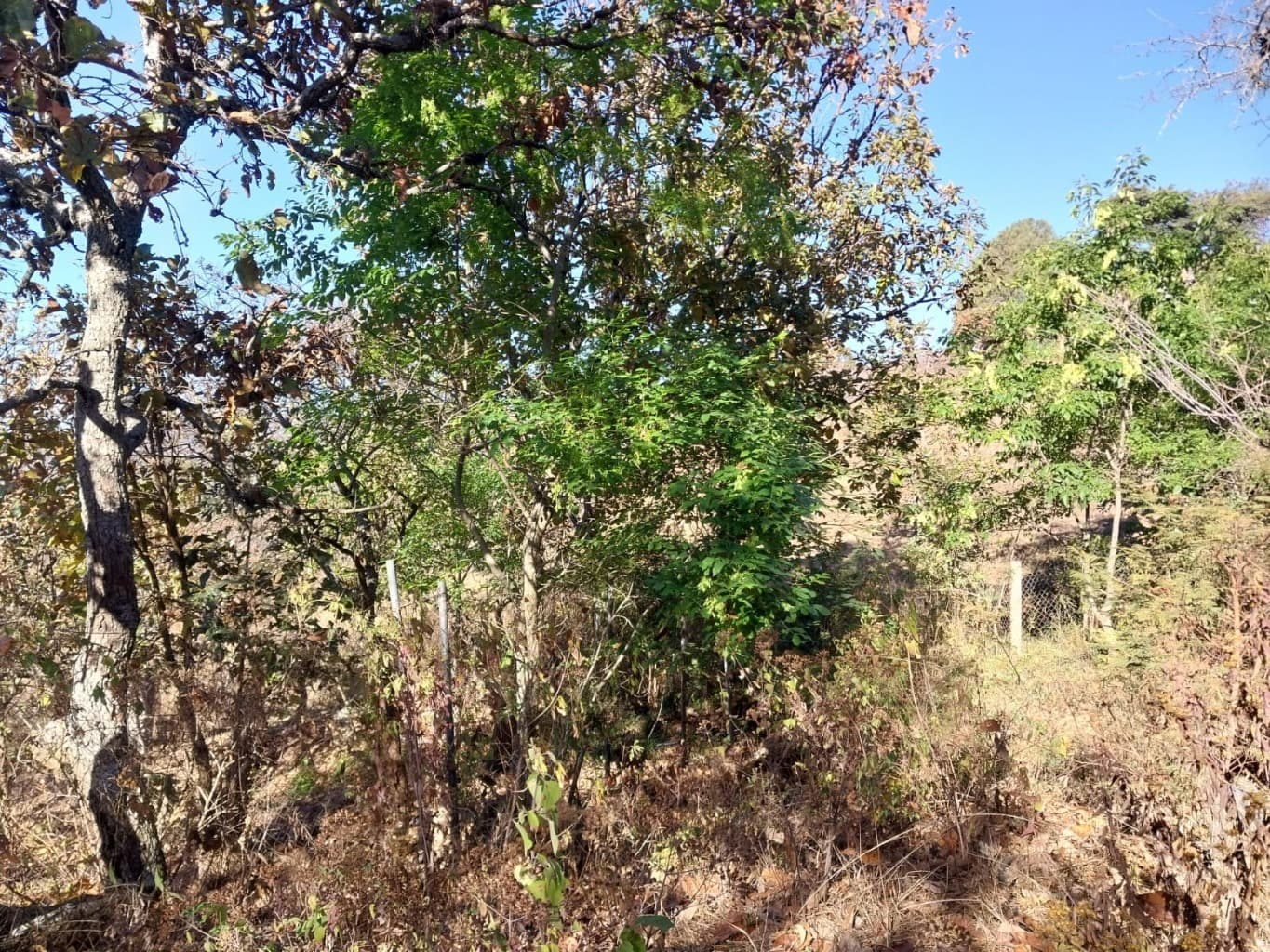 image-8