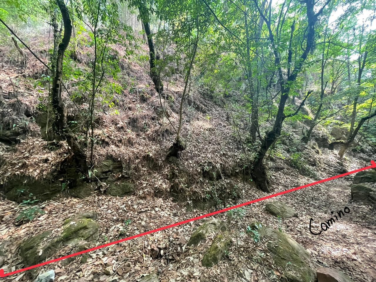 image-5