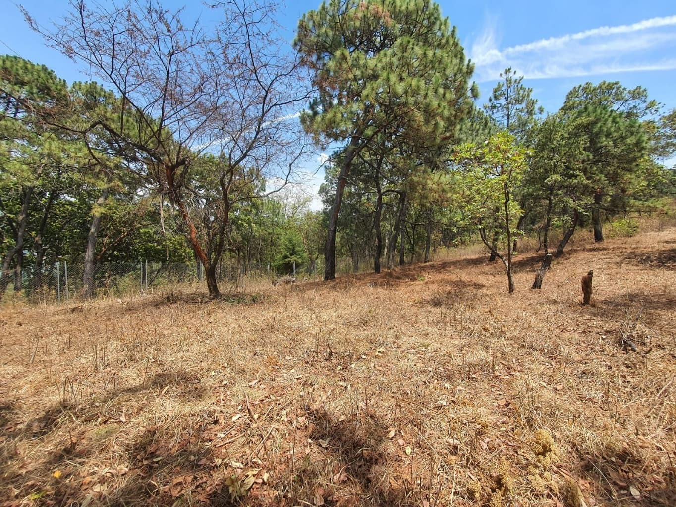 image-9