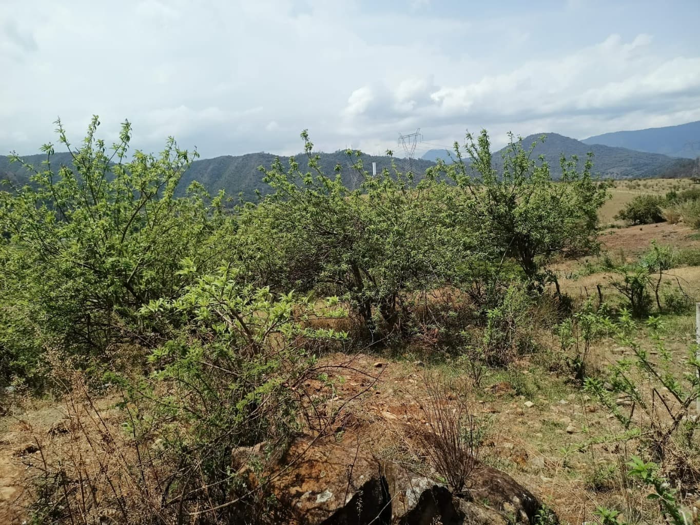 image-9