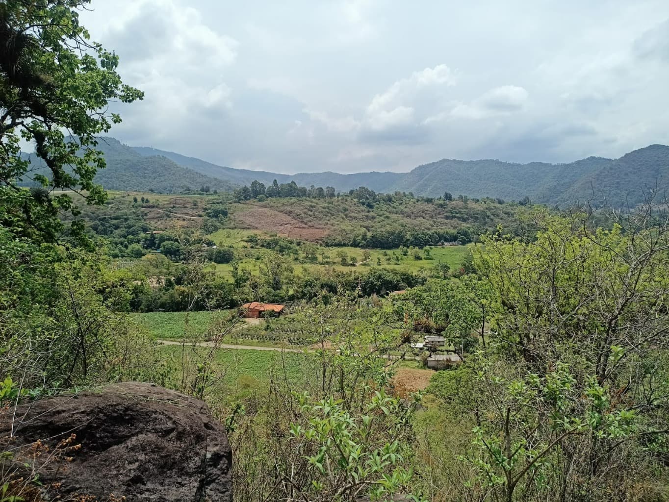 image-6