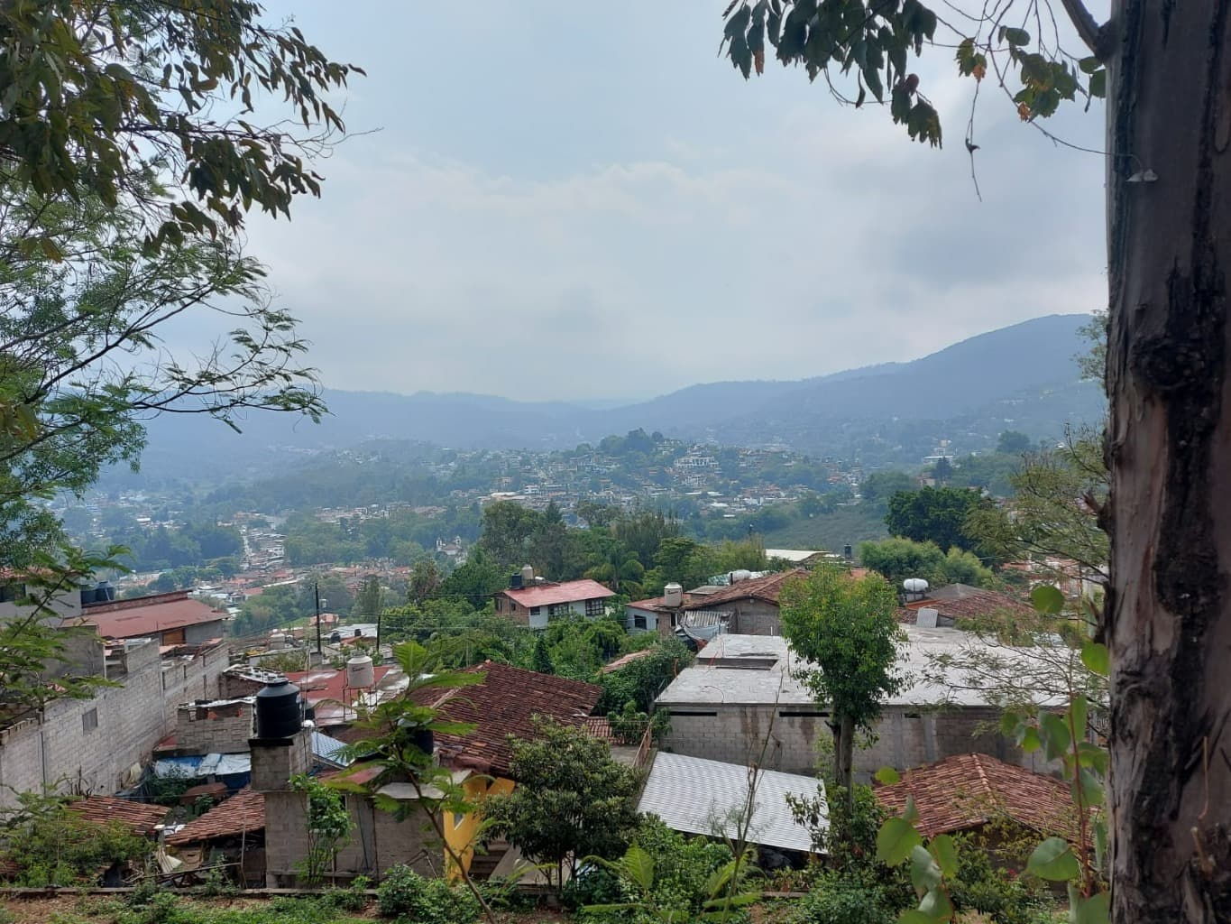 image-5
