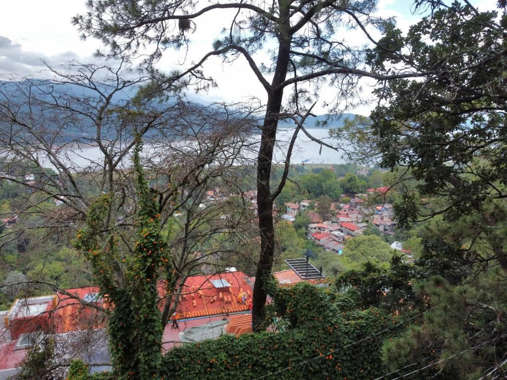 image-3