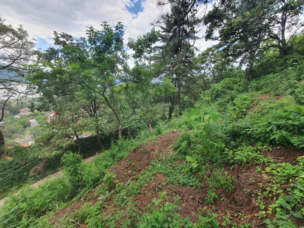 image-2