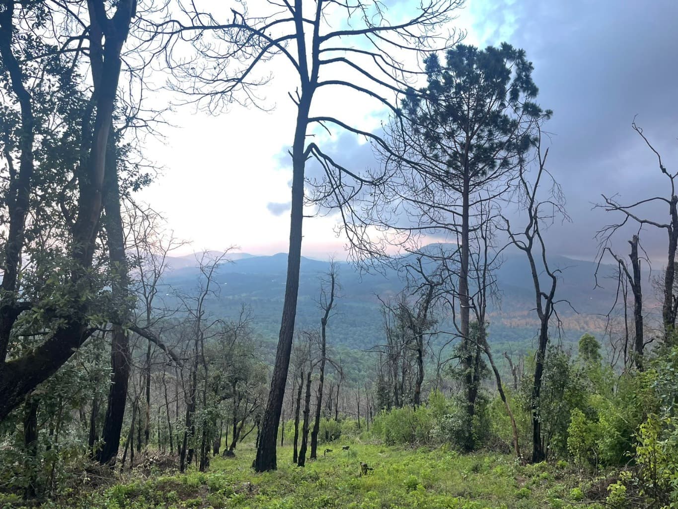 image-7
