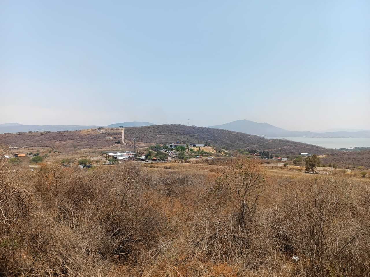 image-0