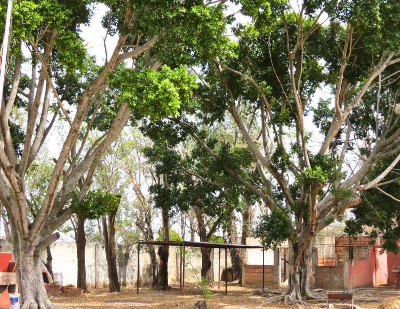 image-2